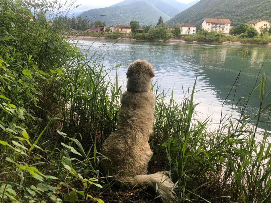 Giuditta Freecarpark&Garden Domodossola Exteriér fotografie
