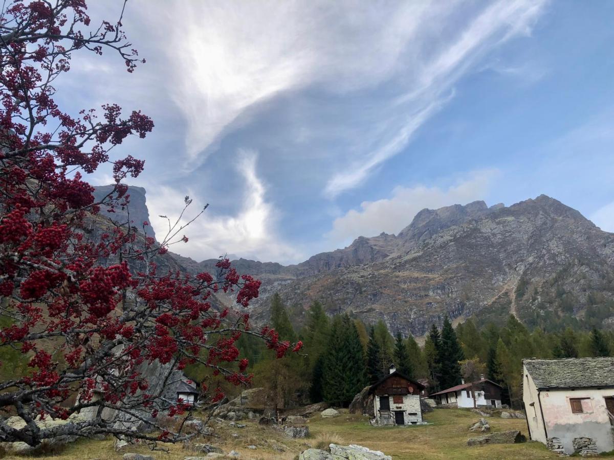 Giuditta Freecarpark&Garden Domodossola Exteriér fotografie