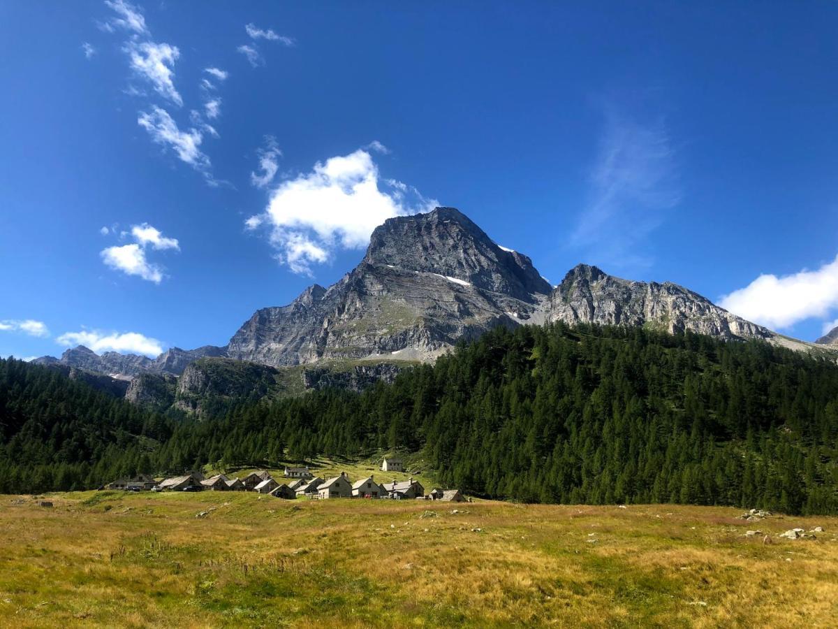 Giuditta Freecarpark&Garden Domodossola Exteriér fotografie